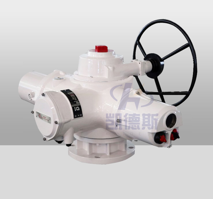 阀门电动装置
